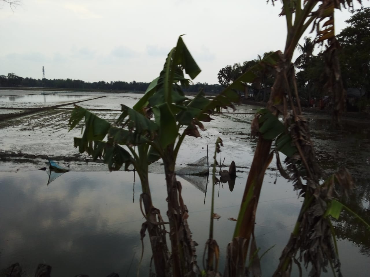 1626974879yaas2 (7).jpeg